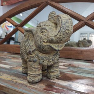 ELEFANTE INDIANO