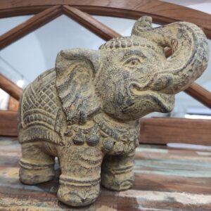 ELEFANTE INDIANO
