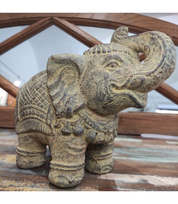 ELEFANTE INDIANO