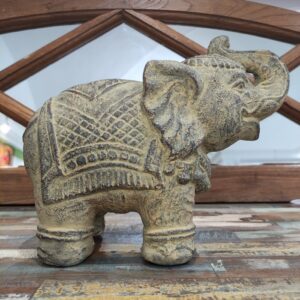 ELEFANTE INDIANO