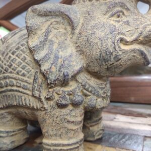 ELEFANTE INDIANO