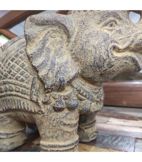 ELEFANTE INDIANO