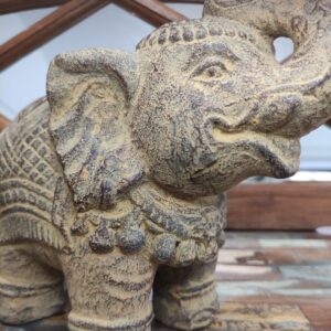ELEFANTE INDIANO