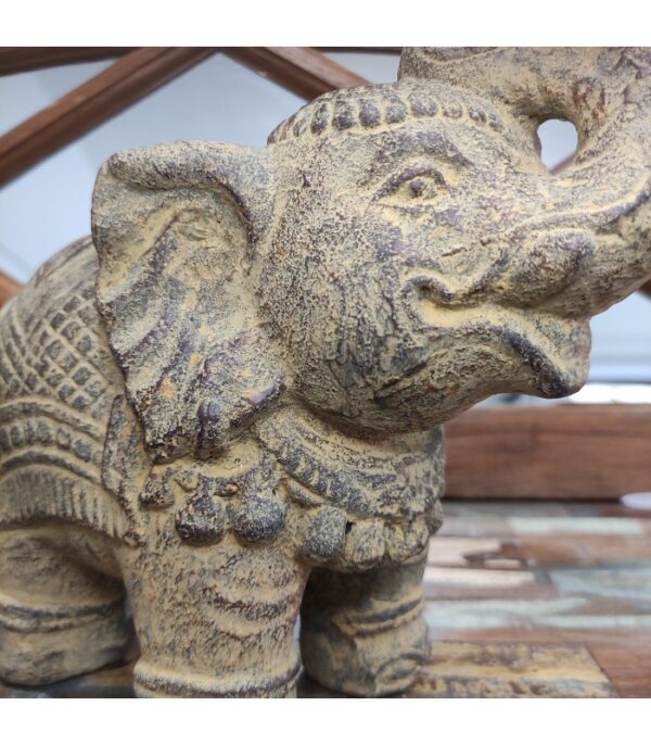 ELEFANTE INDIANO