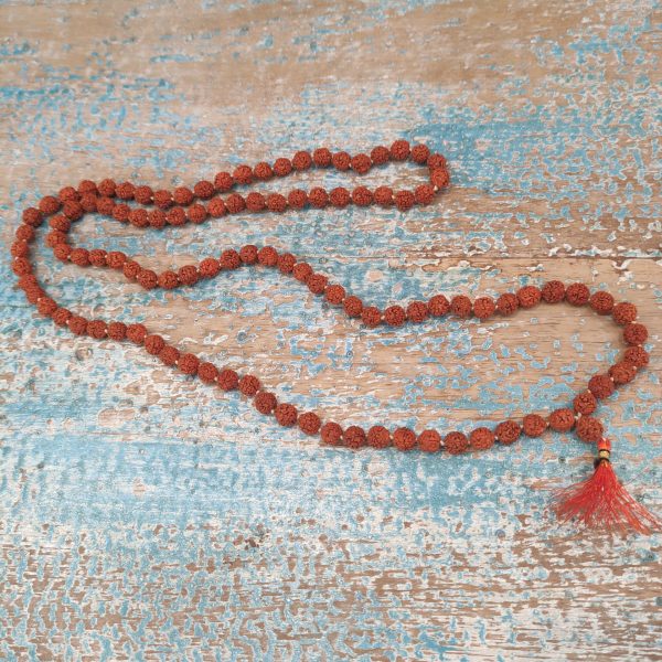 MALA INDIANA - immagine 2